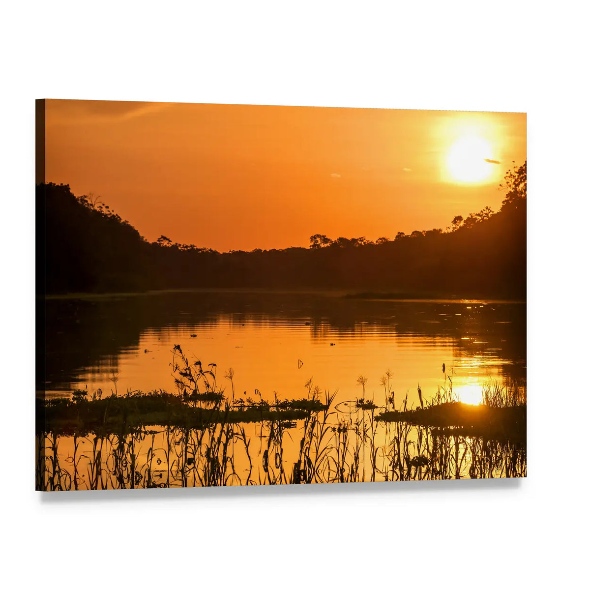 Amazon Rainforest River at Dusk Canvas Wall Art, single panel gallery wrapped canvas, angled product view