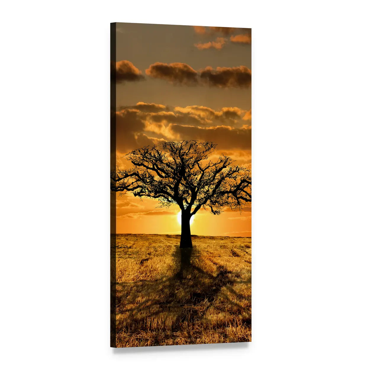Single Tree at Sunset Vertical Canvas Wall Art, 1 panel 1 Vertical layout gallery wrapped canvas set, angled product view