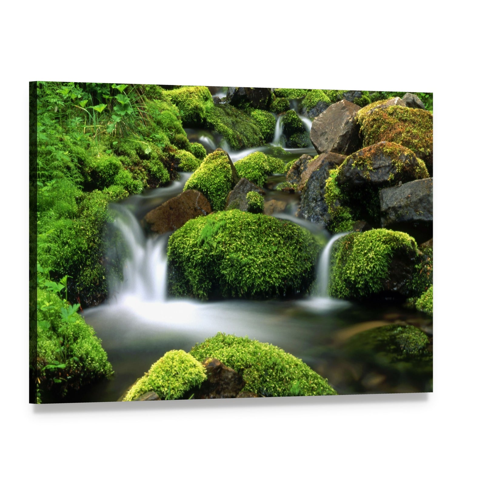 Beautiful Mountain Stream Canvas Wall Art, single panel gallery wrapped canvas, angled product view