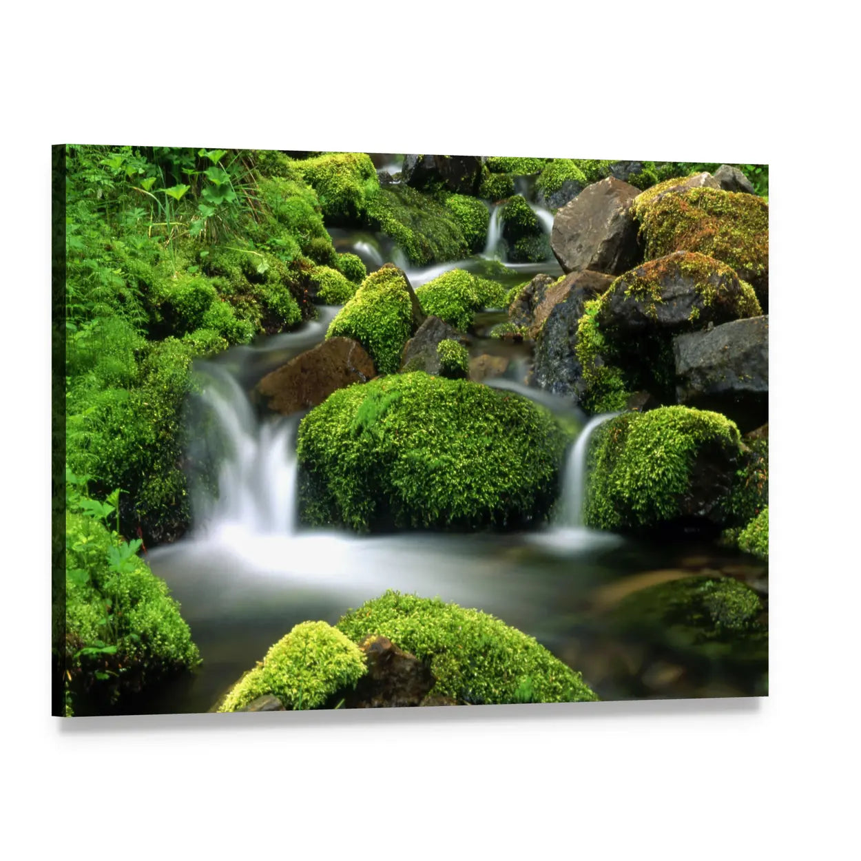 Mountain Stream with Moss-covered Rocks Canvas Wall Art, single panel gallery wrapped canvas, angled product view