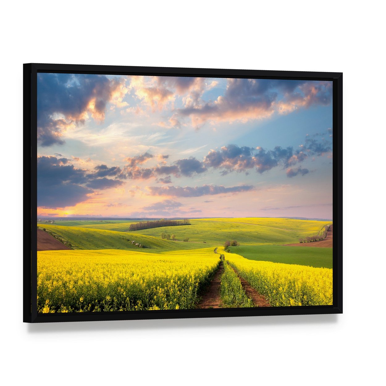 Field of Yellow Flowers with Winding Path Canvas Wall Art, framed canvas in a black floater frame, angled product view