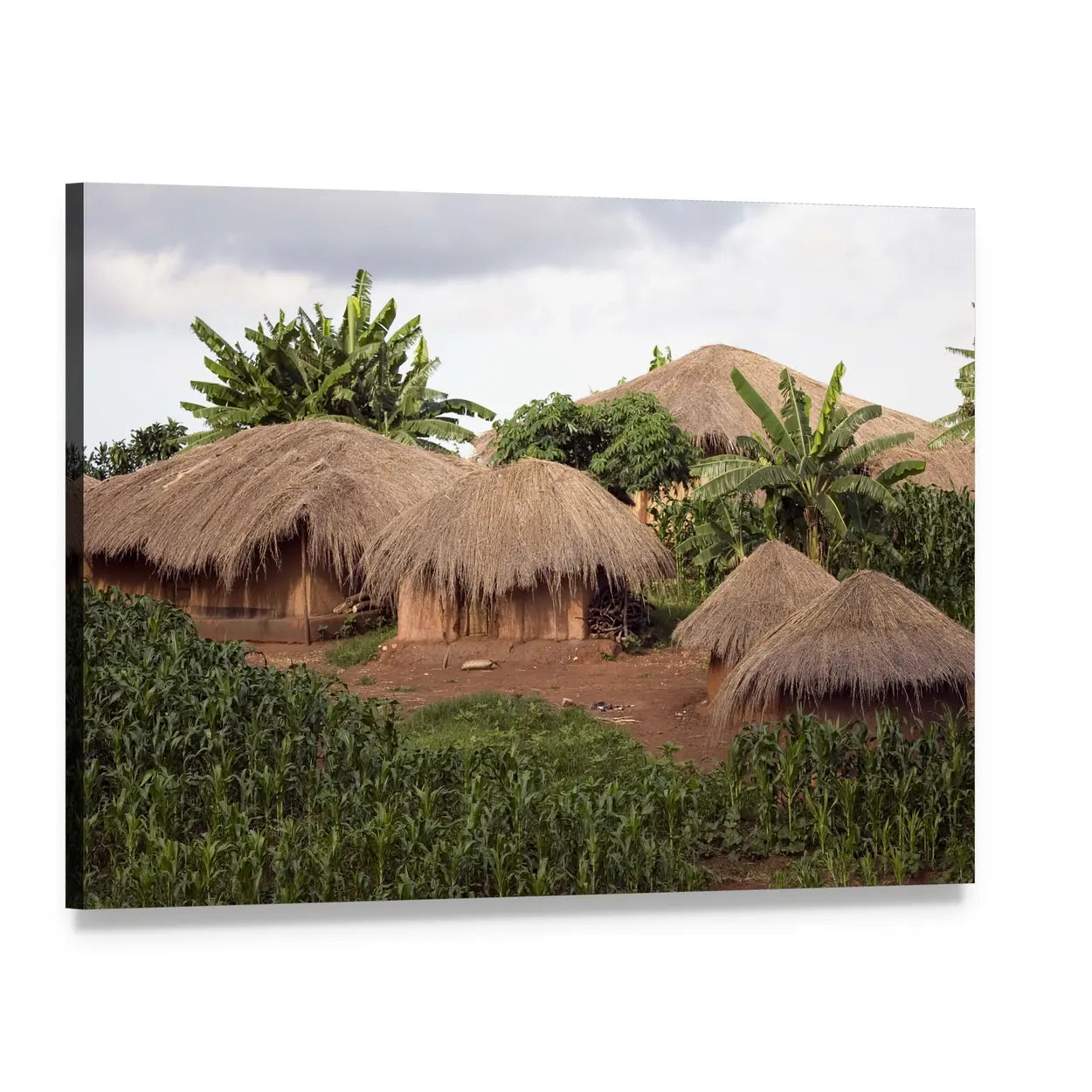 Thatched Huts In Small Village In Rural Malawi Africa Canvas Wall Art, single panel gallery wrapped canvas, angled product view
