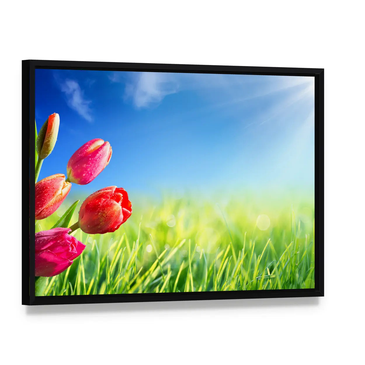 Sunny Spring Tulips in Meadow Canvas Wall Art, framed canvas in a black floater frame, angled product view