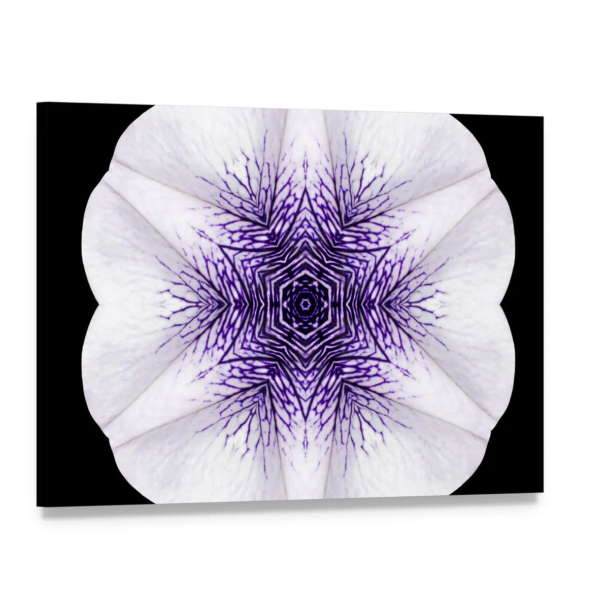 White Flower Mandala Canvas Wall Art, single panel gallery wrapped canvas, angled product view