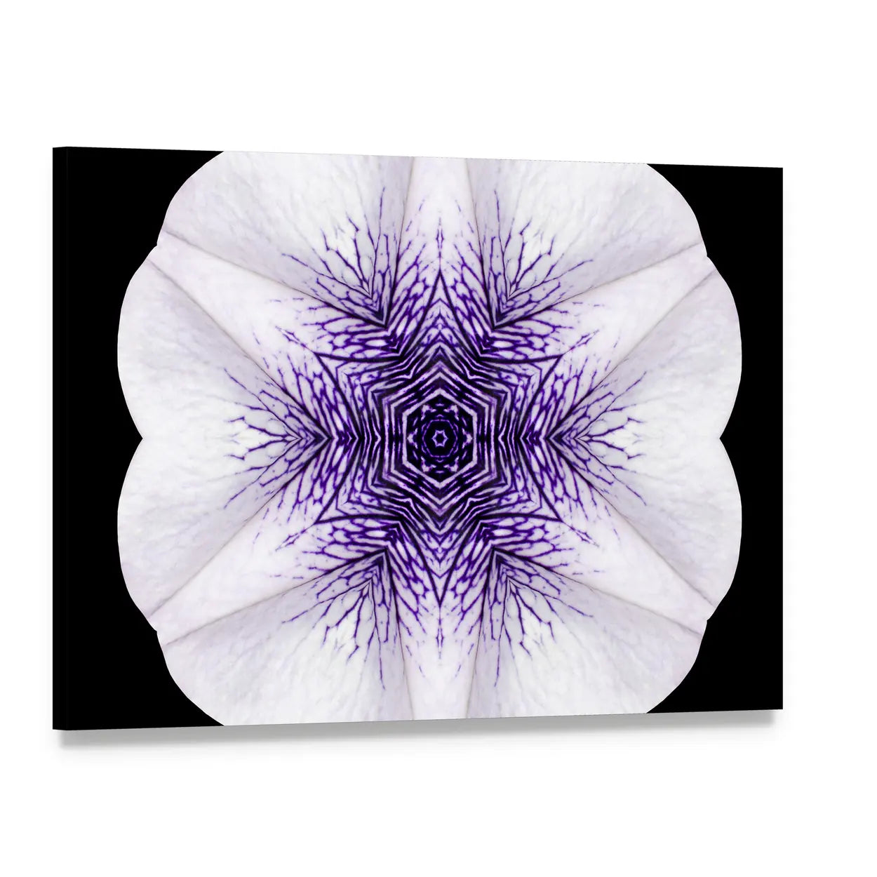 White Flower Mandala Canvas Wall Art, single panel gallery wrapped canvas, angled product view