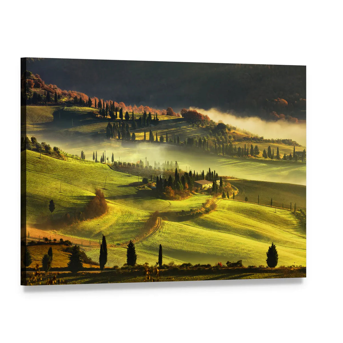 Foggy Morning in Tuscany Canvas Wall Art, single panel gallery wrapped canvas, angled product view