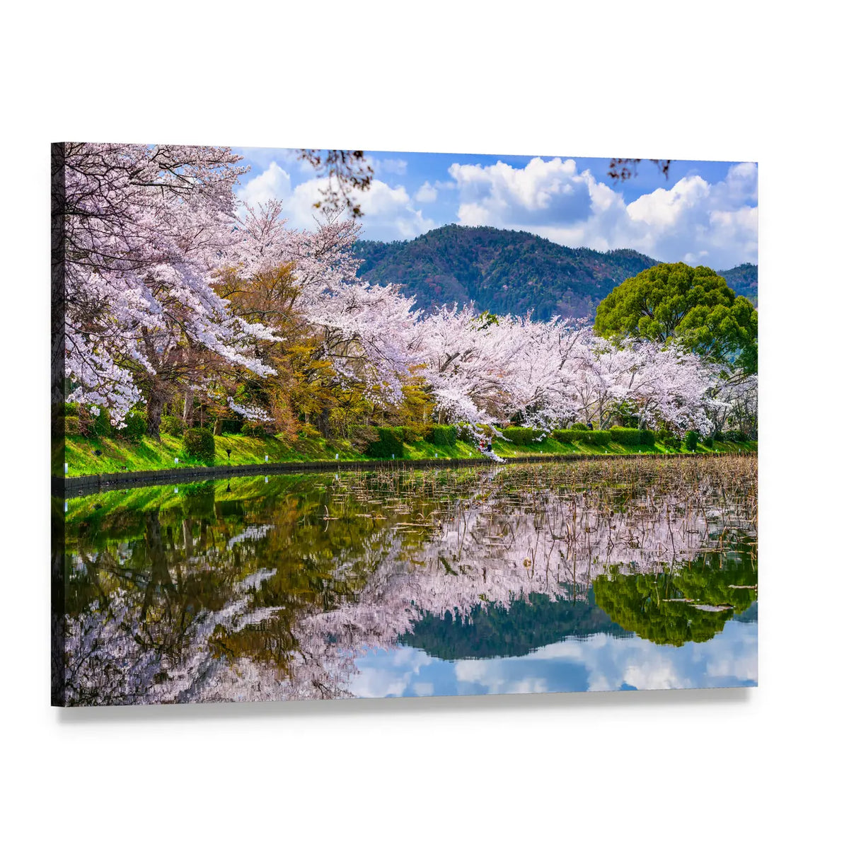 Daikaku-ji Temple Pond Reflection Canvas Wall Art, single panel gallery wrapped canvas, angled product view
