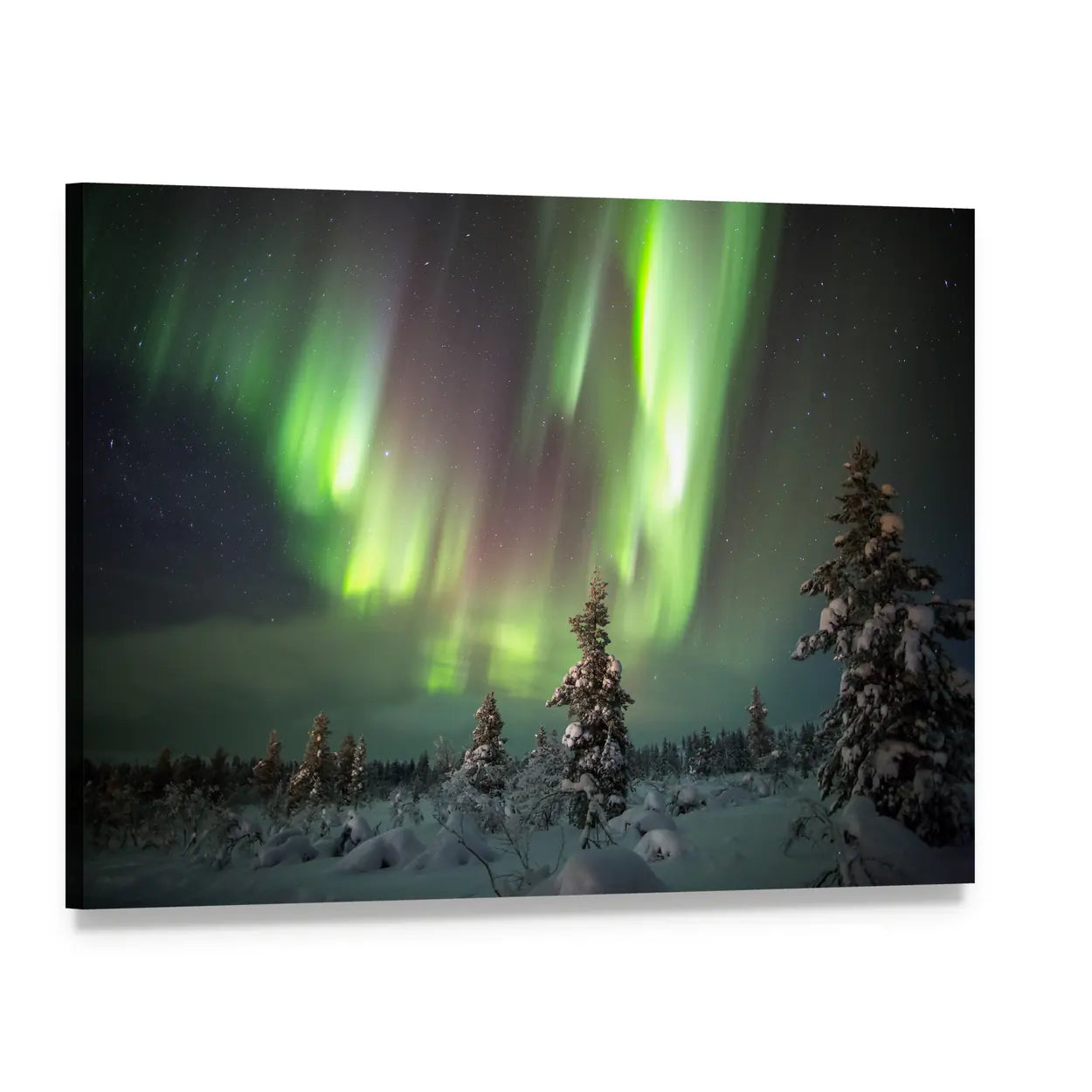 Aurora Borealis Over Snowy Pine Forest Canvas Wall Art, single panel gallery wrapped canvas, angled product view
