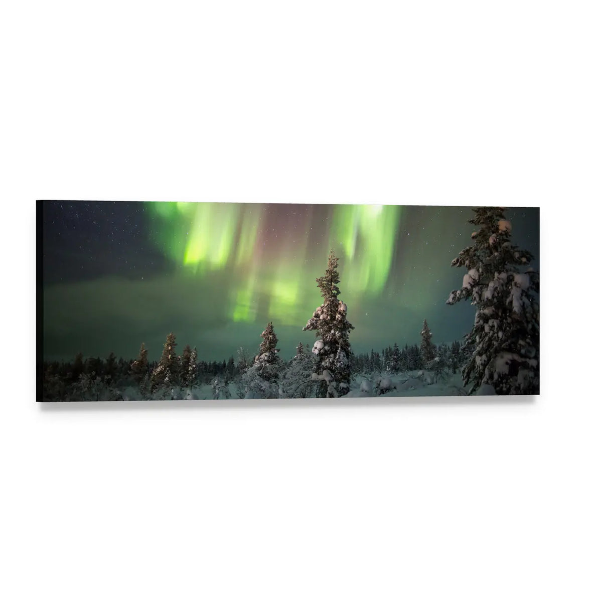 Aurora Borealis Over Snow-covered Pines Panoramic Canvas Wall Art, single panel gallery wrapped canvas, angled product view
