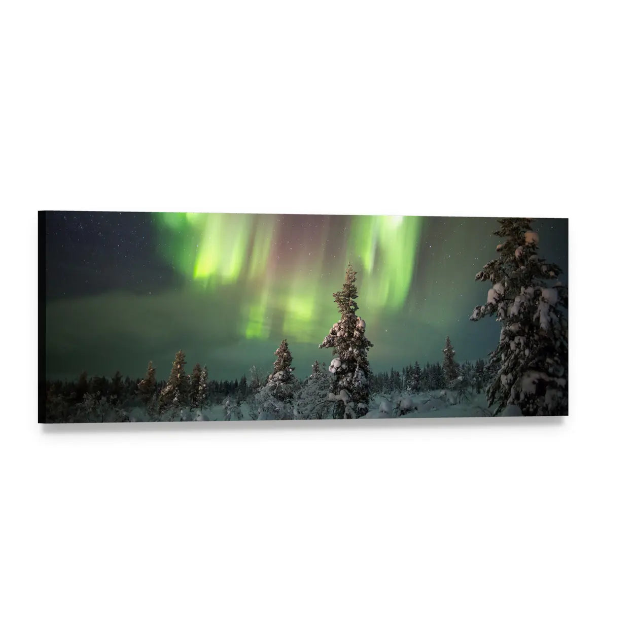 Aurora Borealis Over Snow-covered Pines Panoramic Canvas Wall Art, single panel gallery wrapped canvas, angled product view