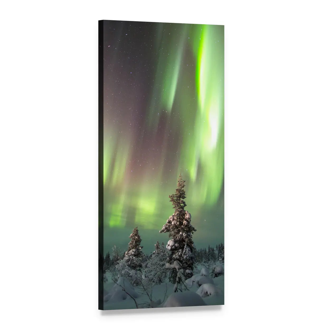 Aurora Borealis Over Snow-covered Pines Vertical Canvas Wall Art, 1 panel 1 Vertical layout gallery wrapped canvas set, angled product view