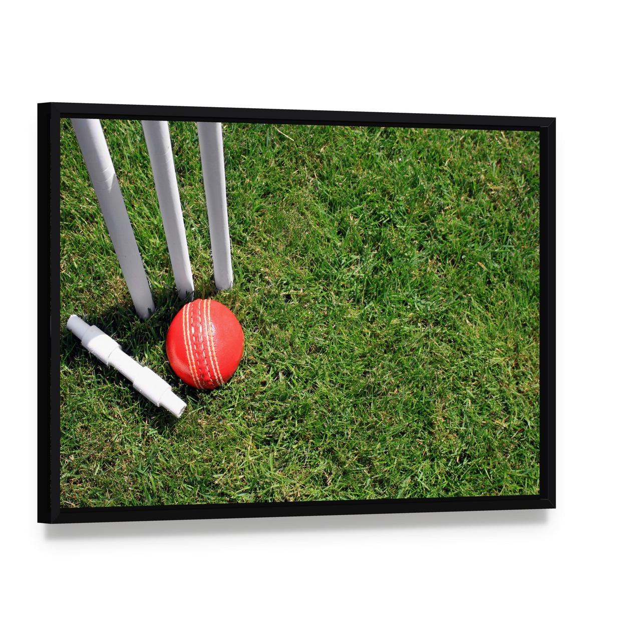 Cricket Ball and Stumps Canvas Wall Art, framed canvas in a black floater frame, angled product view