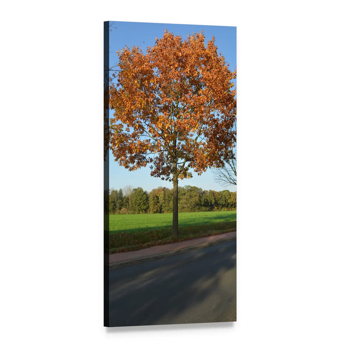 Autumn Tree on Road Vertical Canvas Wall Art, 1 panel 1 Vertical layout gallery wrapped canvas set, angled product view
