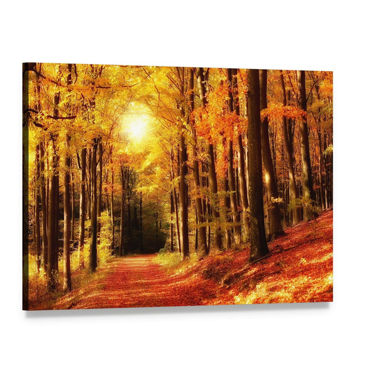 Autumn Forest Path with Sunbeams Canvas Wall Art, single panel gallery wrapped canvas, angled product view