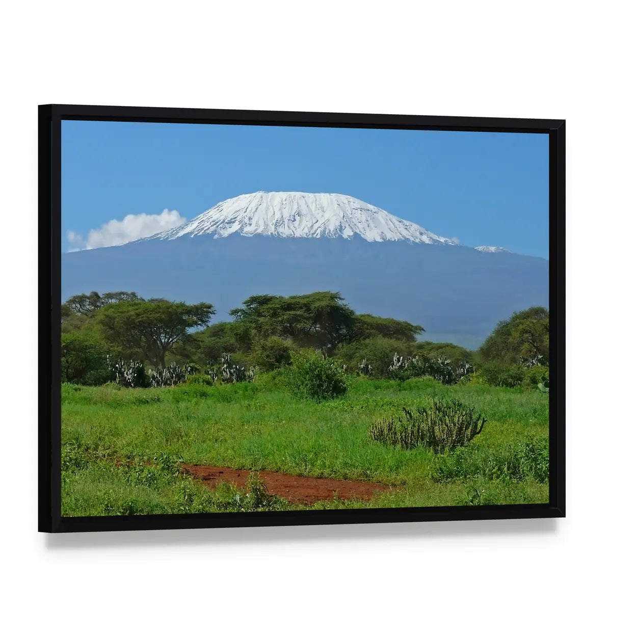 Mount Kilimanjaro Over Savanna Canvas Wall Art, framed canvas in a black floater frame, angled product view