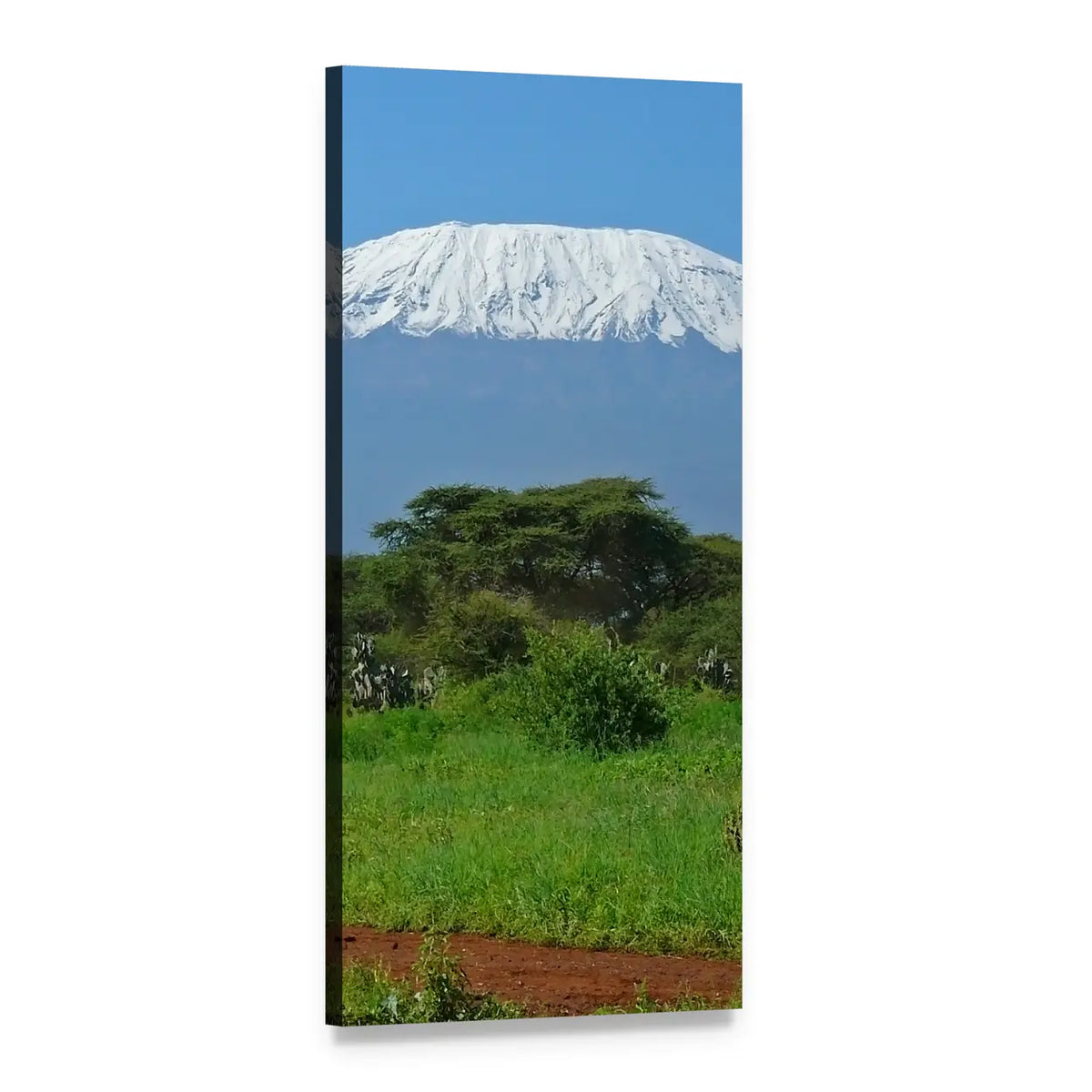 Kilimanjaro Over African Savanna Vertical Canvas Wall Art, 1 panel 1 Vertical layout gallery wrapped canvas set, angled product view