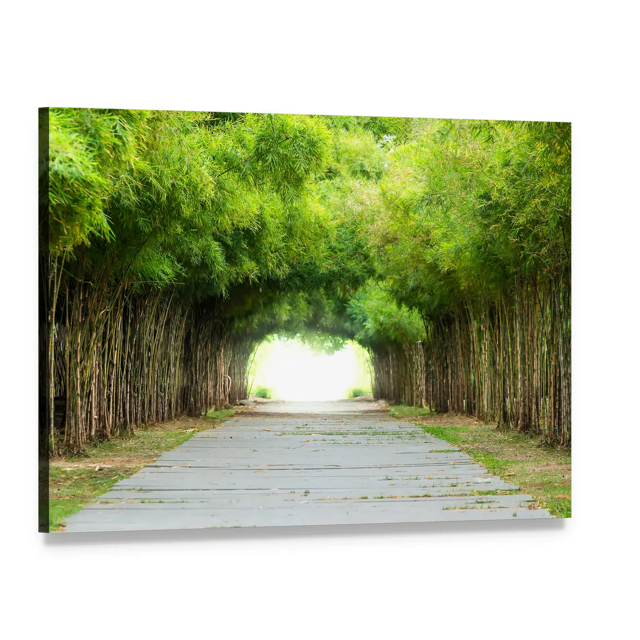 Bamboo Forest Walkway Canvas Wall Art, single panel gallery wrapped canvas, angled product view