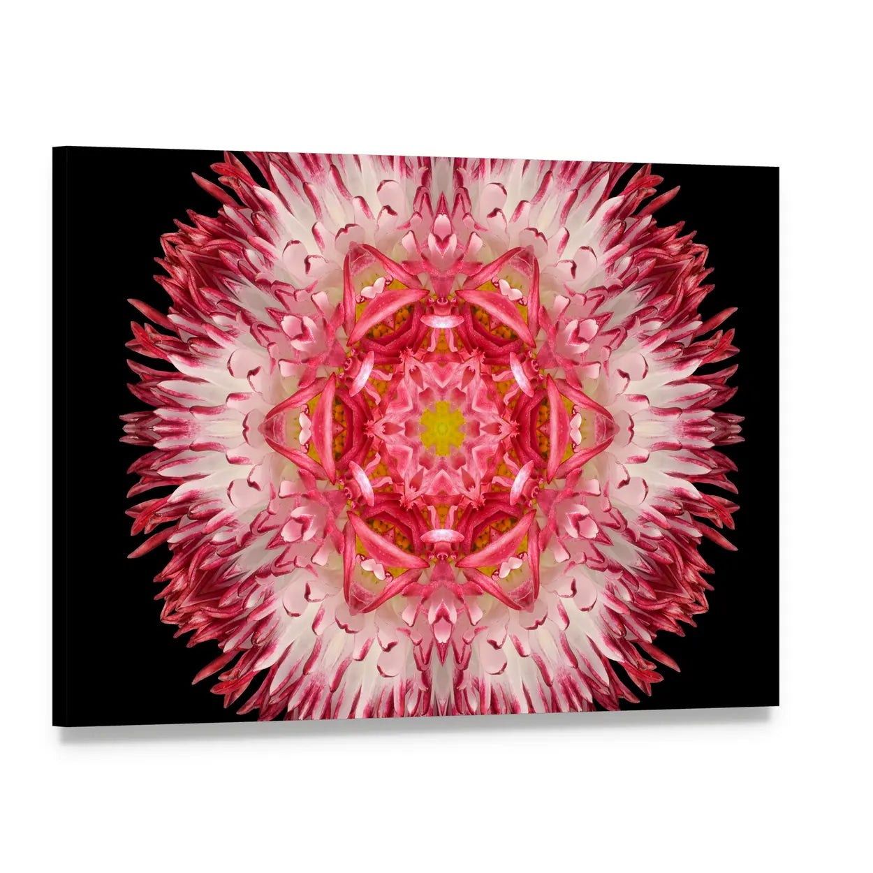 Pink Mandala Flower Canvas Wall Art, single panel gallery wrapped canvas, angled product view