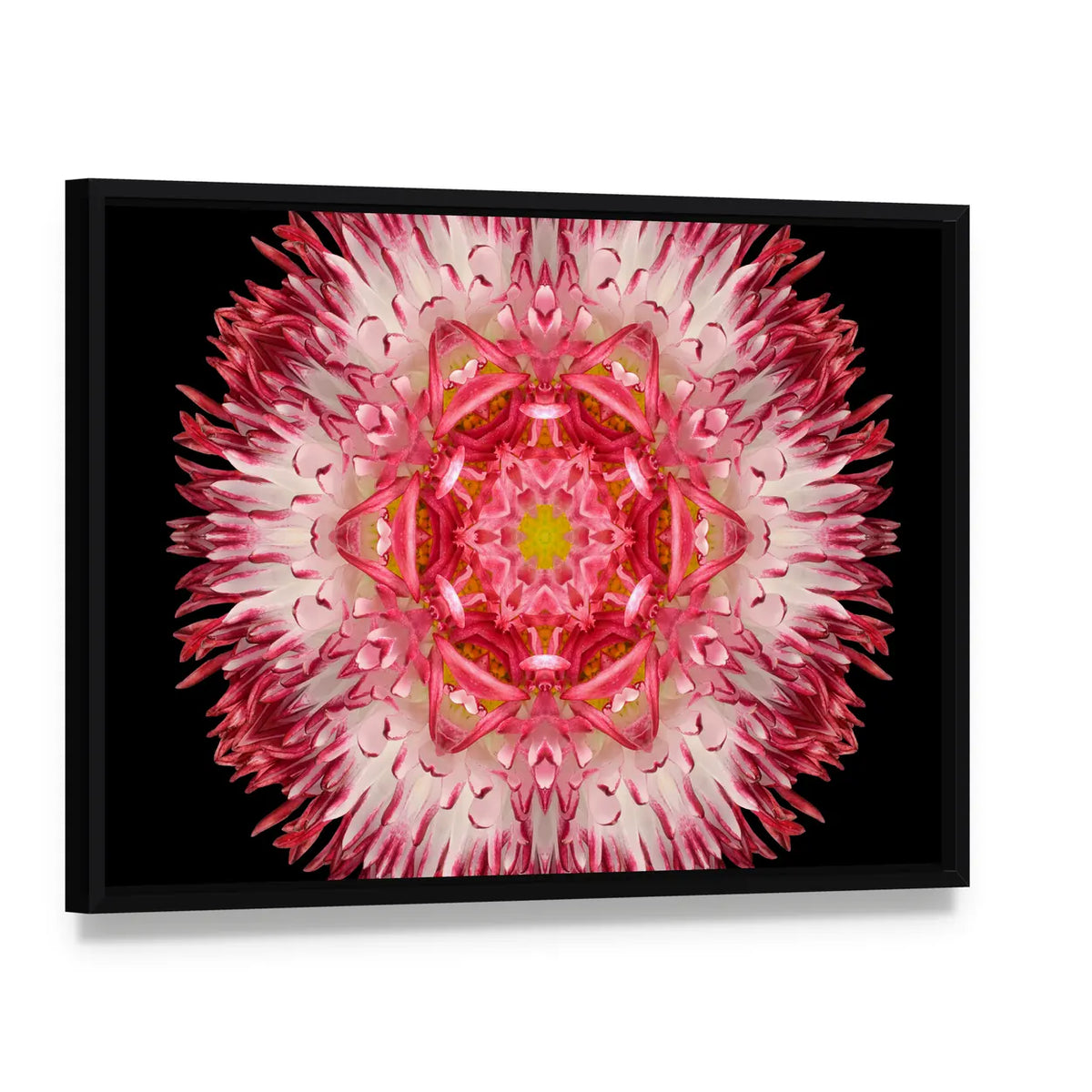 Pink Mandala Flower Canvas Wall Art, framed canvas in a black floater frame, angled product view