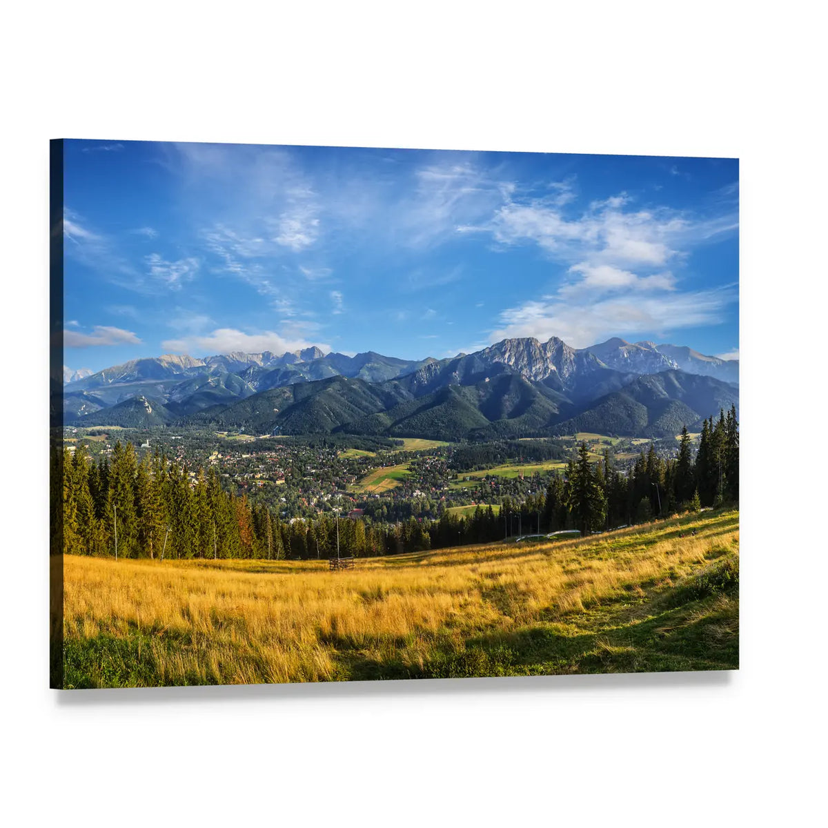 Snow-capped Peaks Above Golden Meadow Canvas Wall Art, single panel gallery wrapped canvas, angled product view
