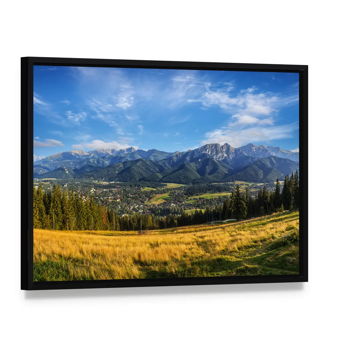 Snow-capped Peaks Above Golden Meadow Canvas Wall Art, framed canvas in a black floater frame, angled product view