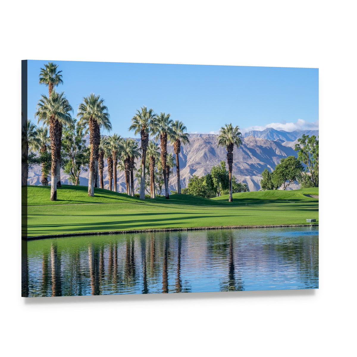 Palms Reflecting in Water Canvas Wall Art, single panel gallery wrapped canvas, angled product view