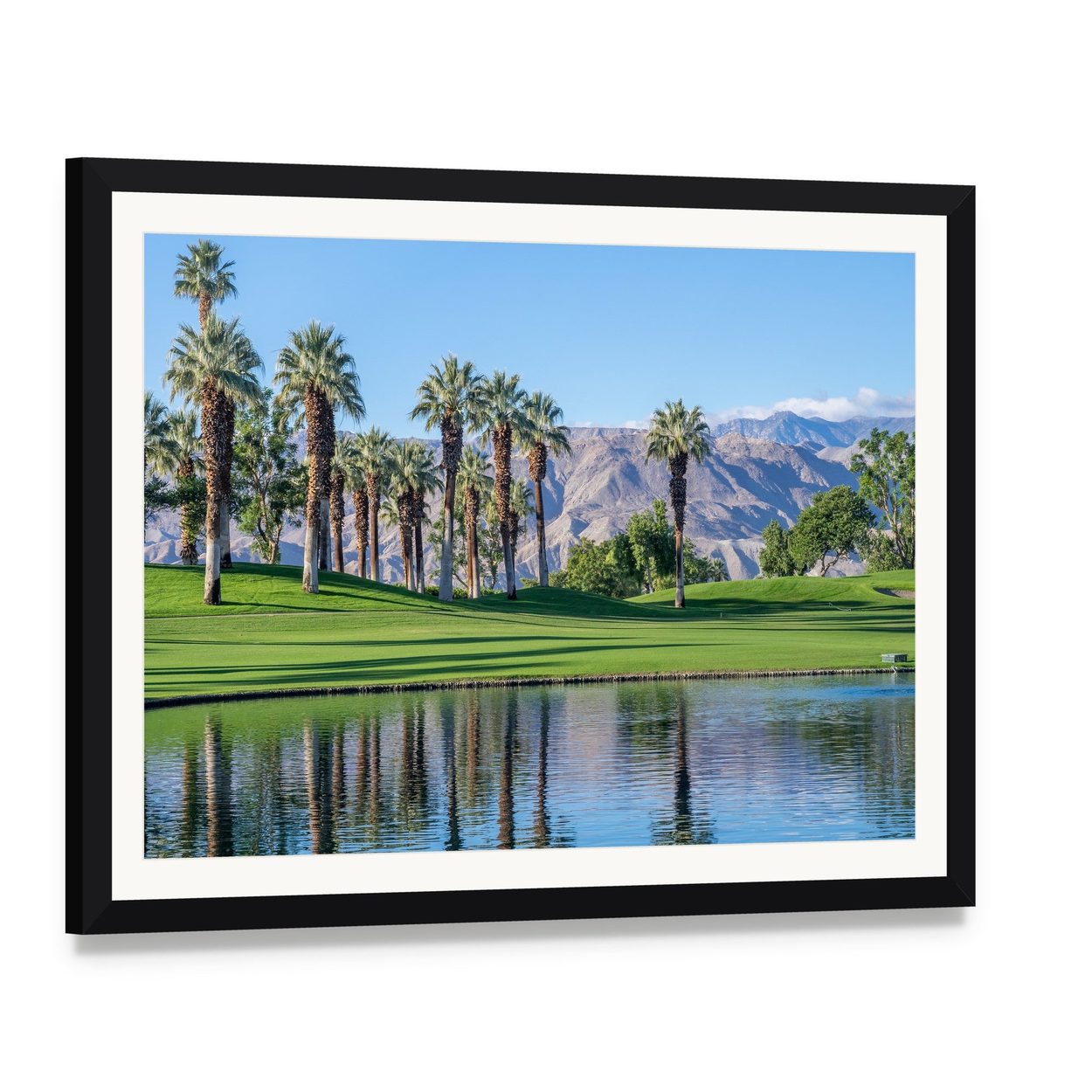 Palms Reflecting in Water Canvas Wall Art, framed print with white mat and black frame, angled product view