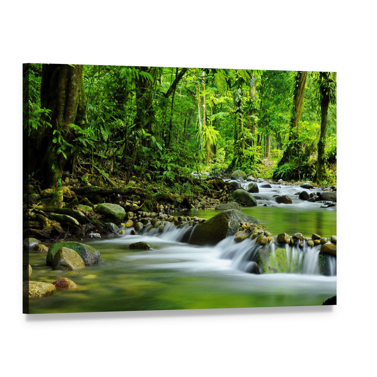 Mountain Stream in Tropical Forest Canvas Wall Art, single panel gallery wrapped canvas, angled product view