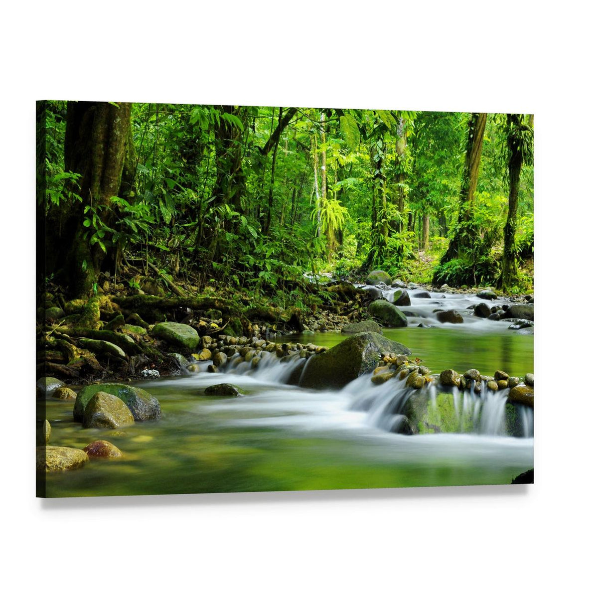 Mountain Stream in Tropical Forest Canvas Wall Art, single panel gallery wrapped canvas, angled product view