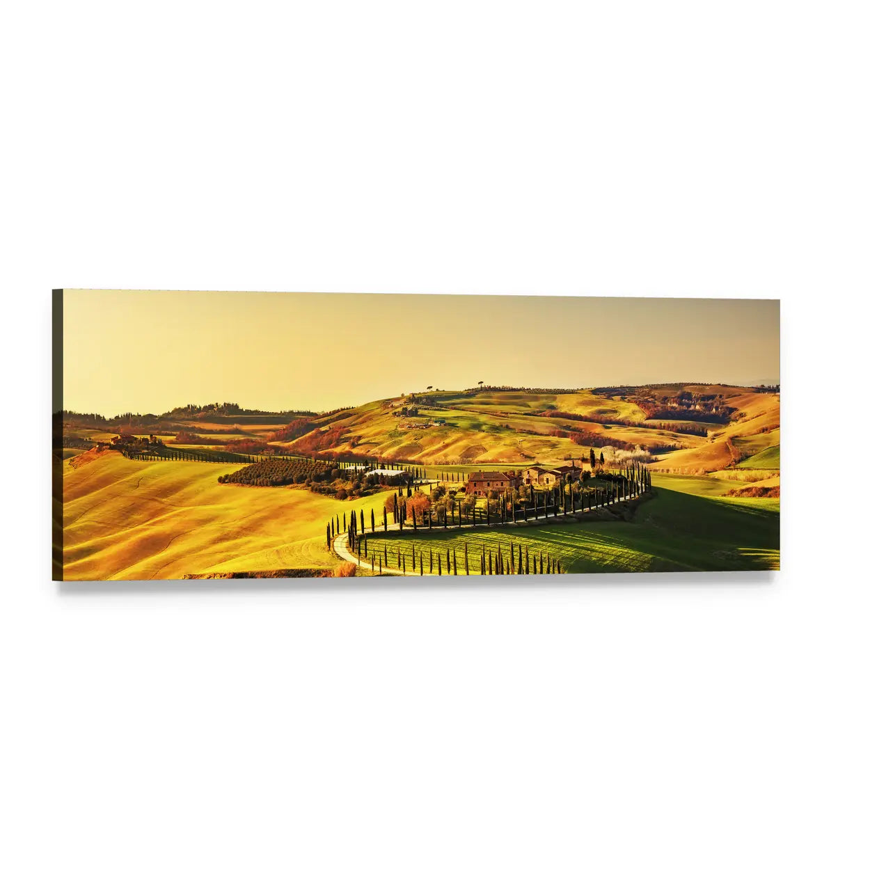 Crete Senesi Tuscany Hills at Golden Hour Panoramic Canvas Wall Art, single panel gallery wrapped canvas, angled product view