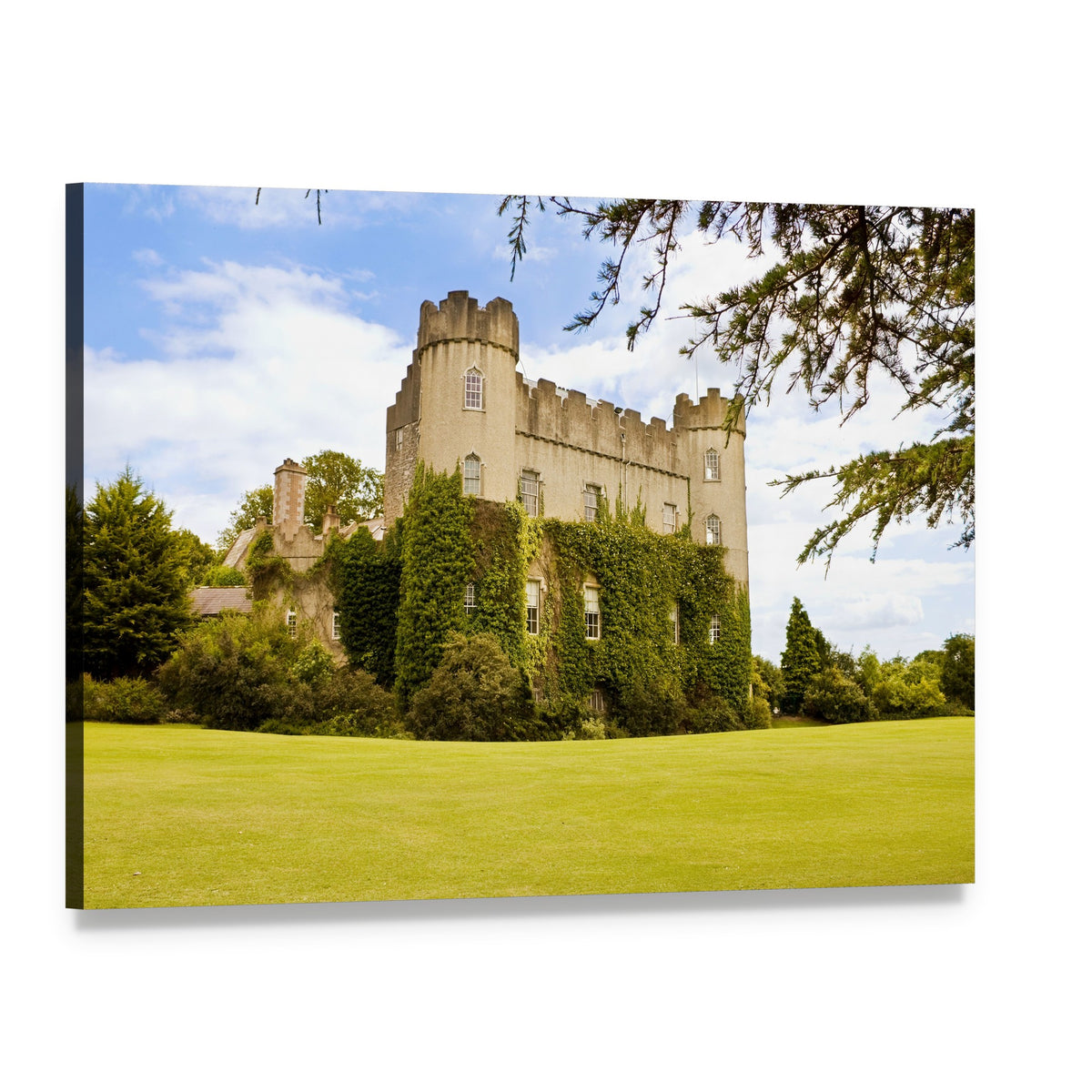 Ivy-covered Medieval Irish Castle Canvas Wall Art, single panel gallery wrapped canvas, angled product view