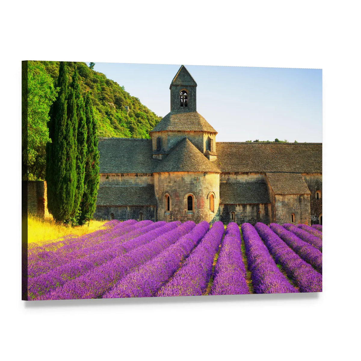 Sénanque Abbey with Lavender Canvas Wall Art, single panel gallery wrapped canvas, angled product view