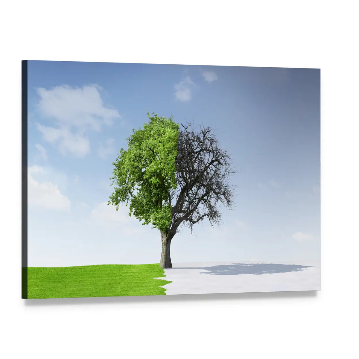 Summer To Winter Concept Canvas Wall Art, single panel gallery wrapped canvas, angled product view