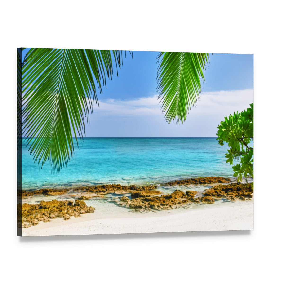 Shoreline of a Tropical Island in the Maldives Canvas Wall Art, single panel gallery wrapped canvas, angled product view