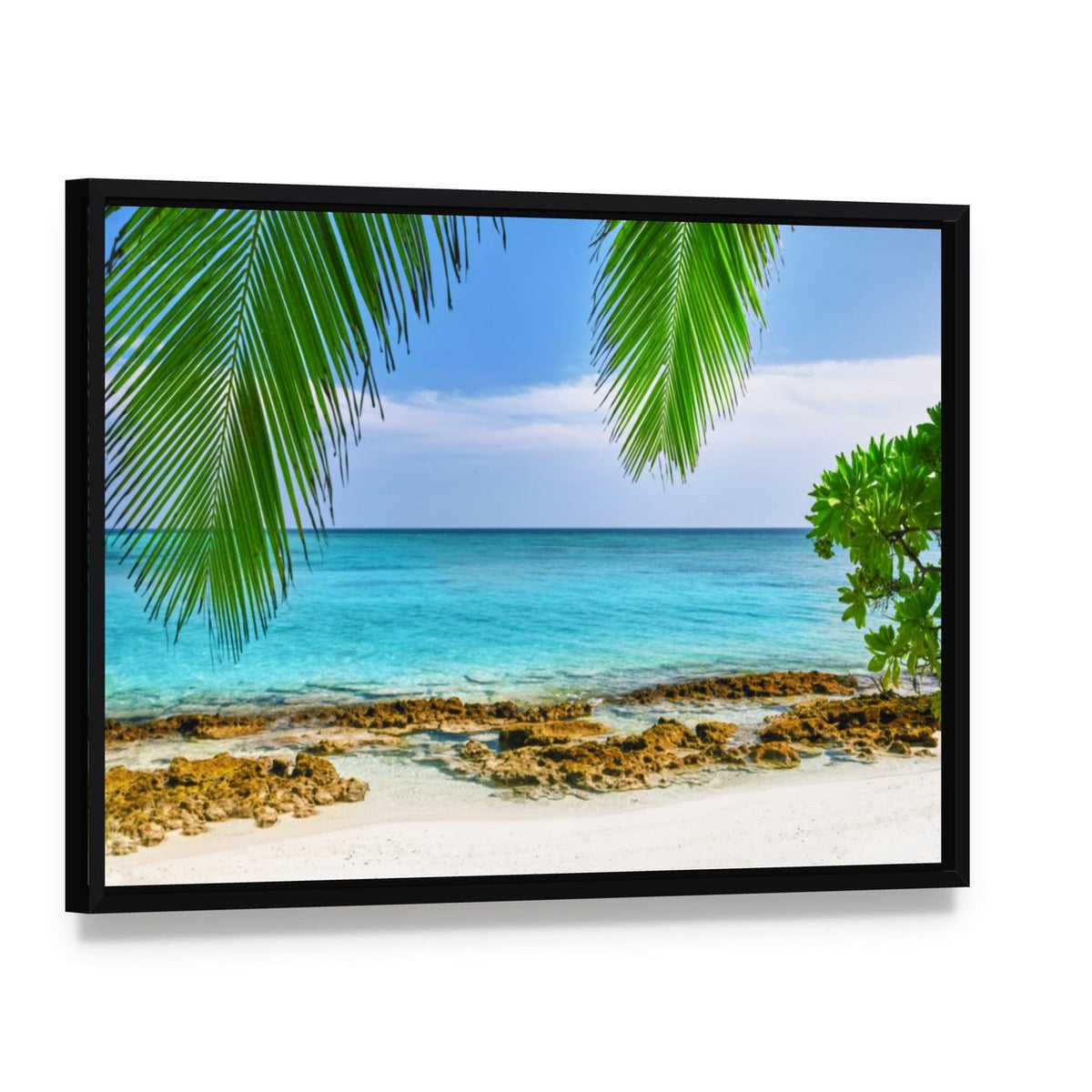 Shoreline of a Tropical Island in the Maldives Canvas Wall Art, framed canvas in a black floater frame, angled product view