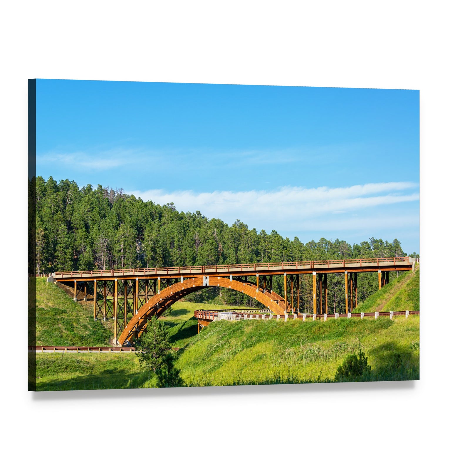 Highway Overpass Above Pine Forest Canvas Wall Art, single panel gallery wrapped canvas, angled product view