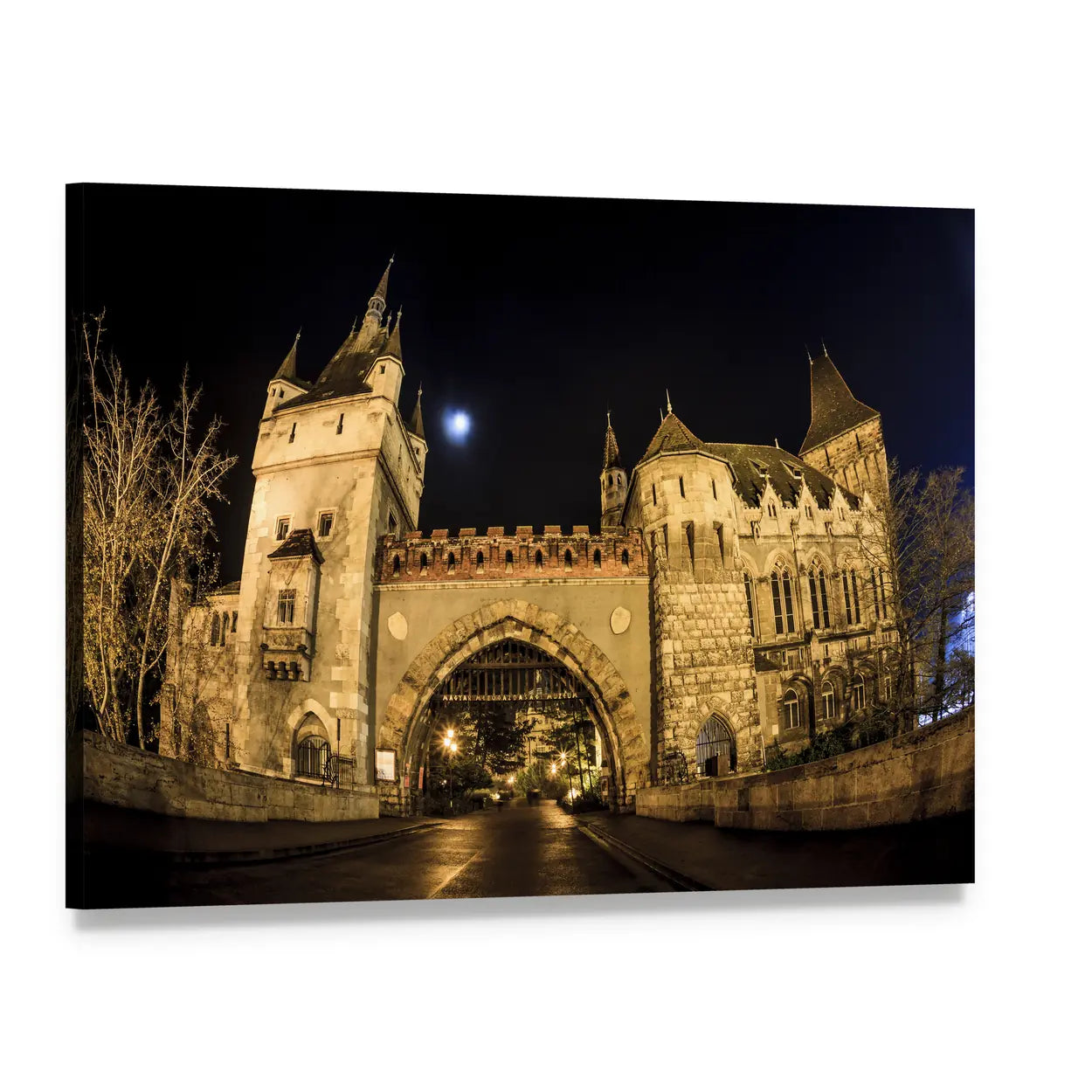 Vajdahunyad Castle in Budapest at Night Canvas Wall Art, single panel gallery wrapped canvas, angled product view