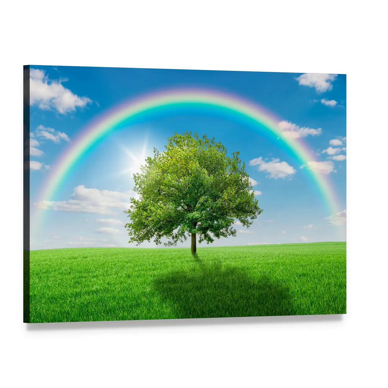 Old Oak Tree on Green Meadow Canvas Wall Art, single panel gallery wrapped canvas, angled product view