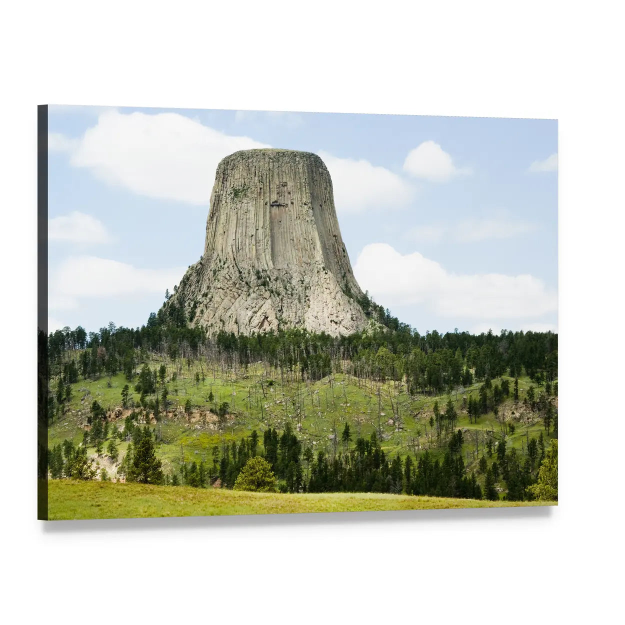 Devils Tower in Pine Forest Canvas Wall Art, single panel gallery wrapped canvas, angled product view