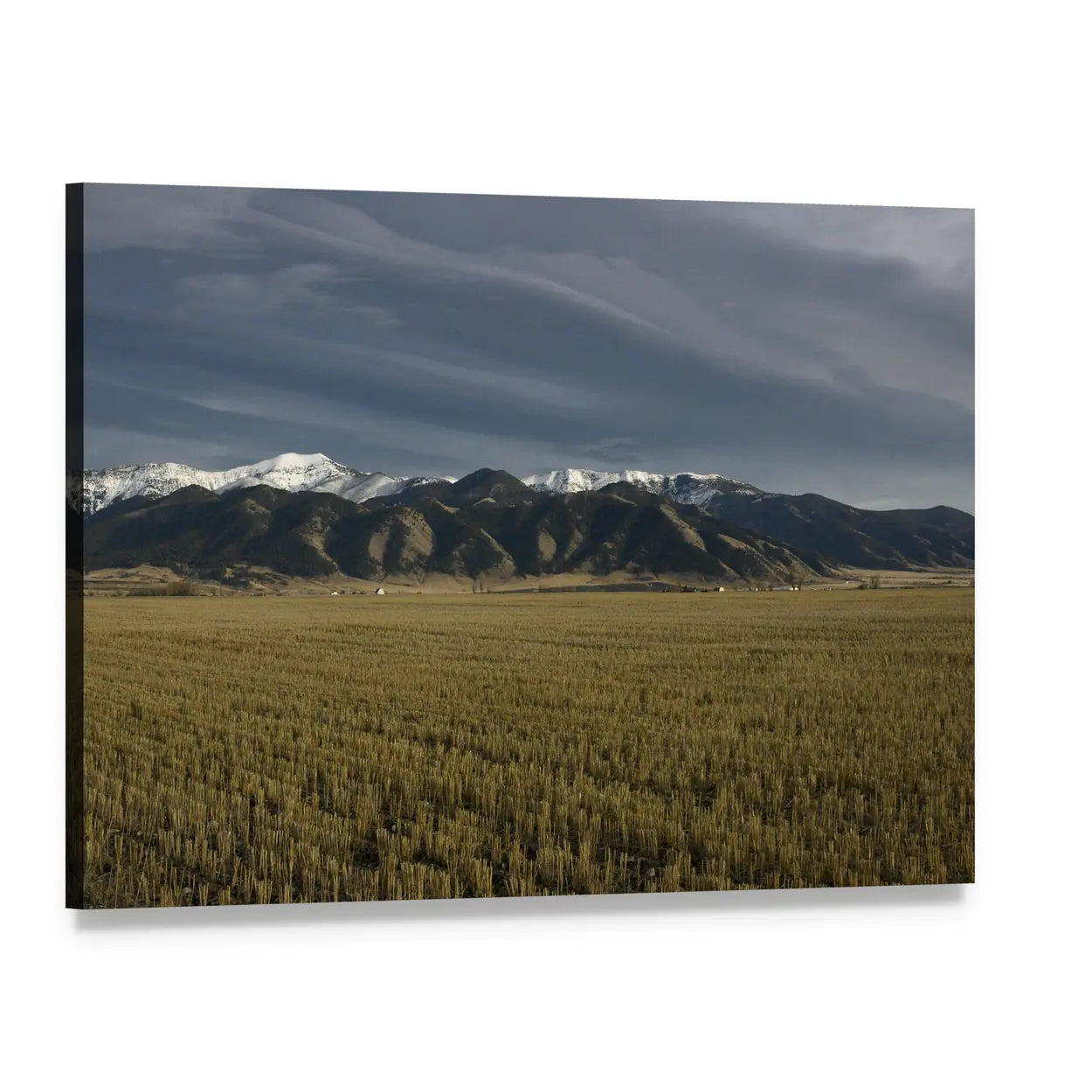 Snow-capped Bridger Mountains Over Harvested Field Canvas Wall Art, single panel gallery wrapped canvas, angled product view