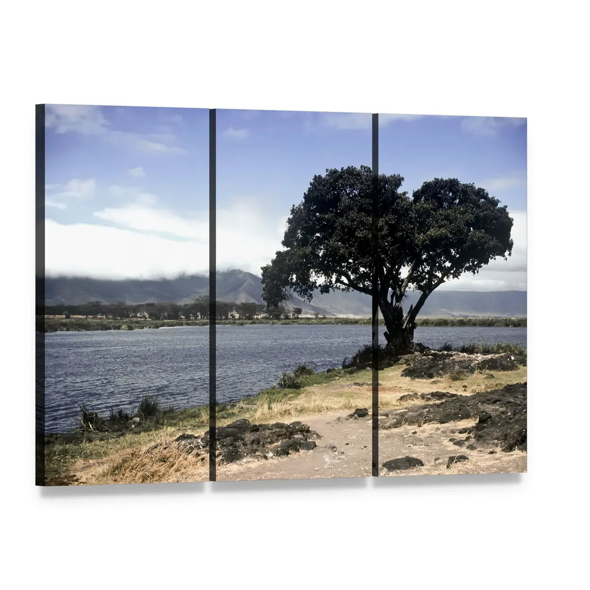 Tree on Rocky Shore with Mountains Canvas Wall Art, 3 panel 3 Horizontal layout gallery wrapped canvas set, angled product view