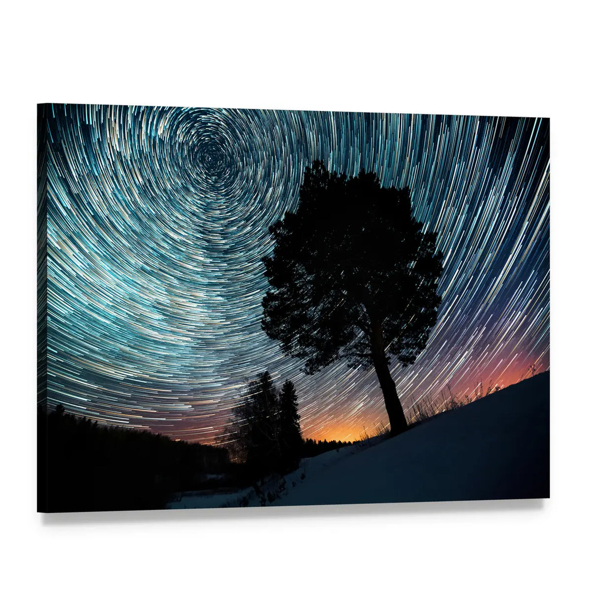 Star Trails Over Pine Tree Canvas Wall Art, single panel gallery wrapped canvas, angled product view