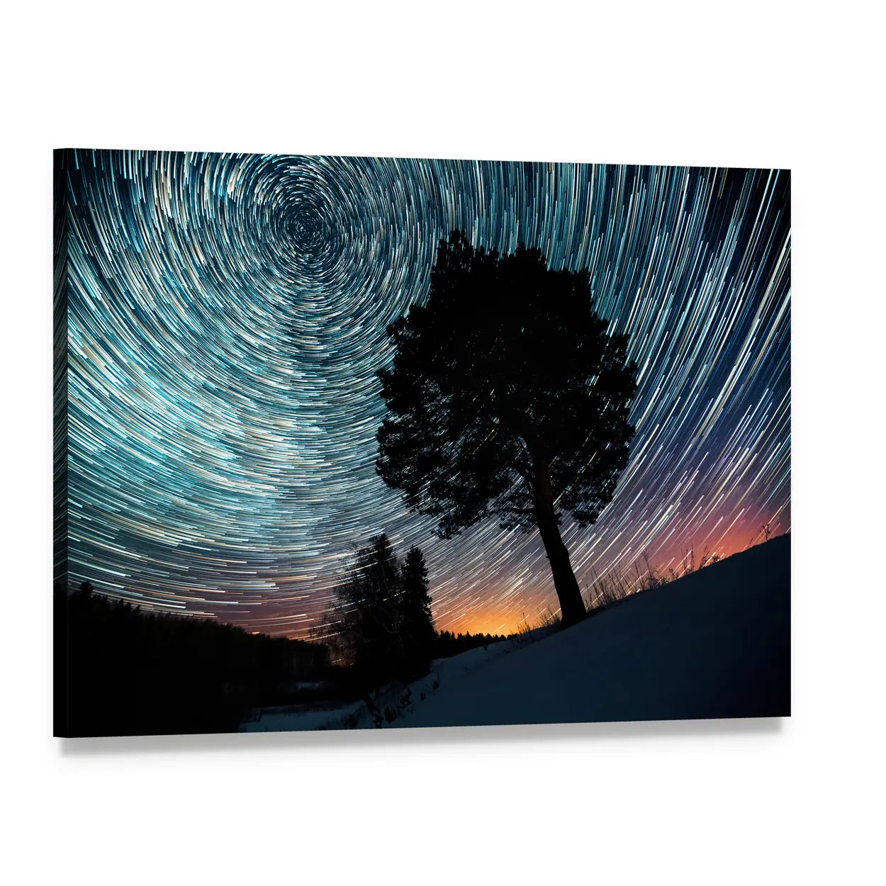 Star Trails Over Pine Tree Canvas Wall Art, single panel gallery wrapped canvas, angled product view