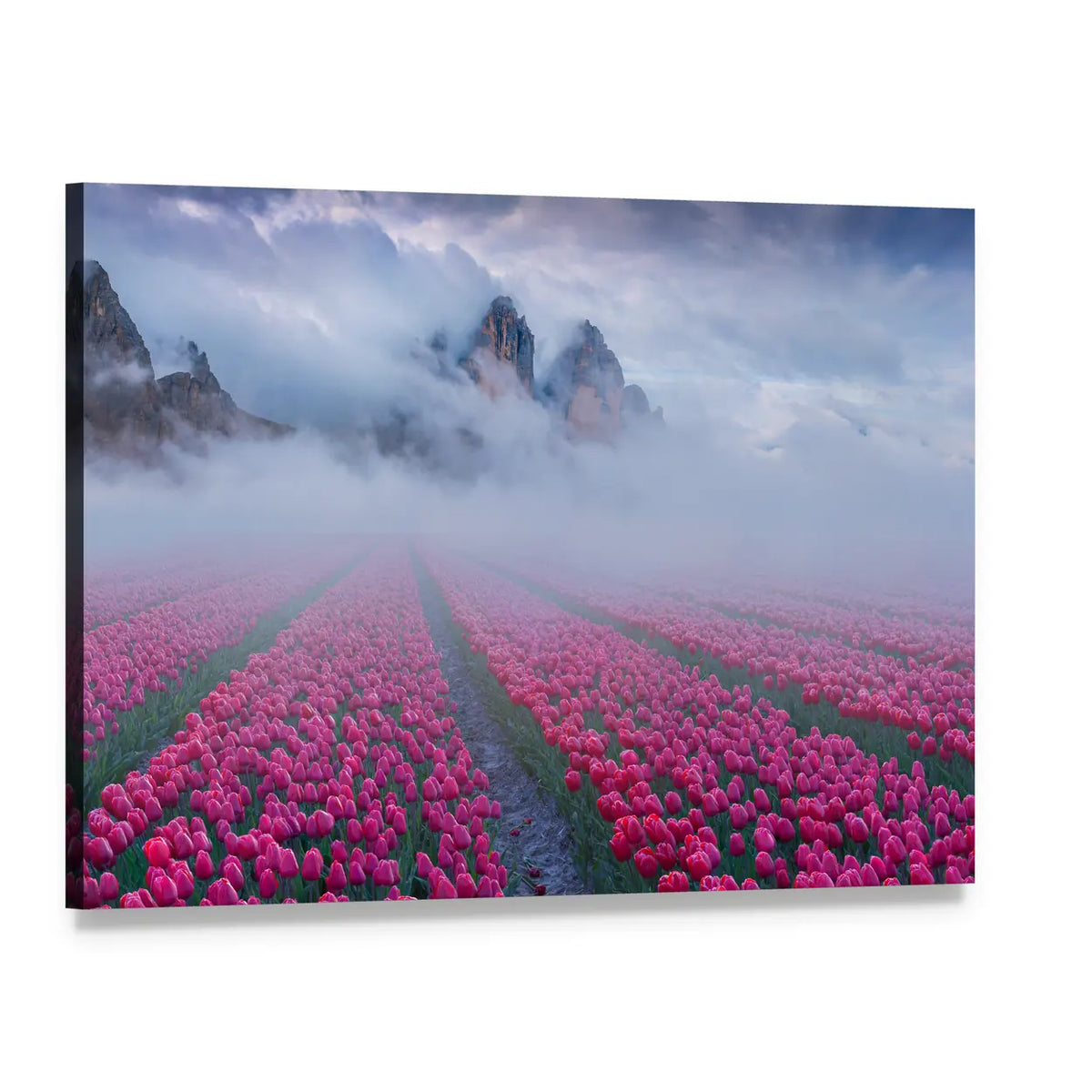 Fantastic Spring Landscape With Tulip Fields Canvas Wall Art, single panel gallery wrapped canvas, angled product view