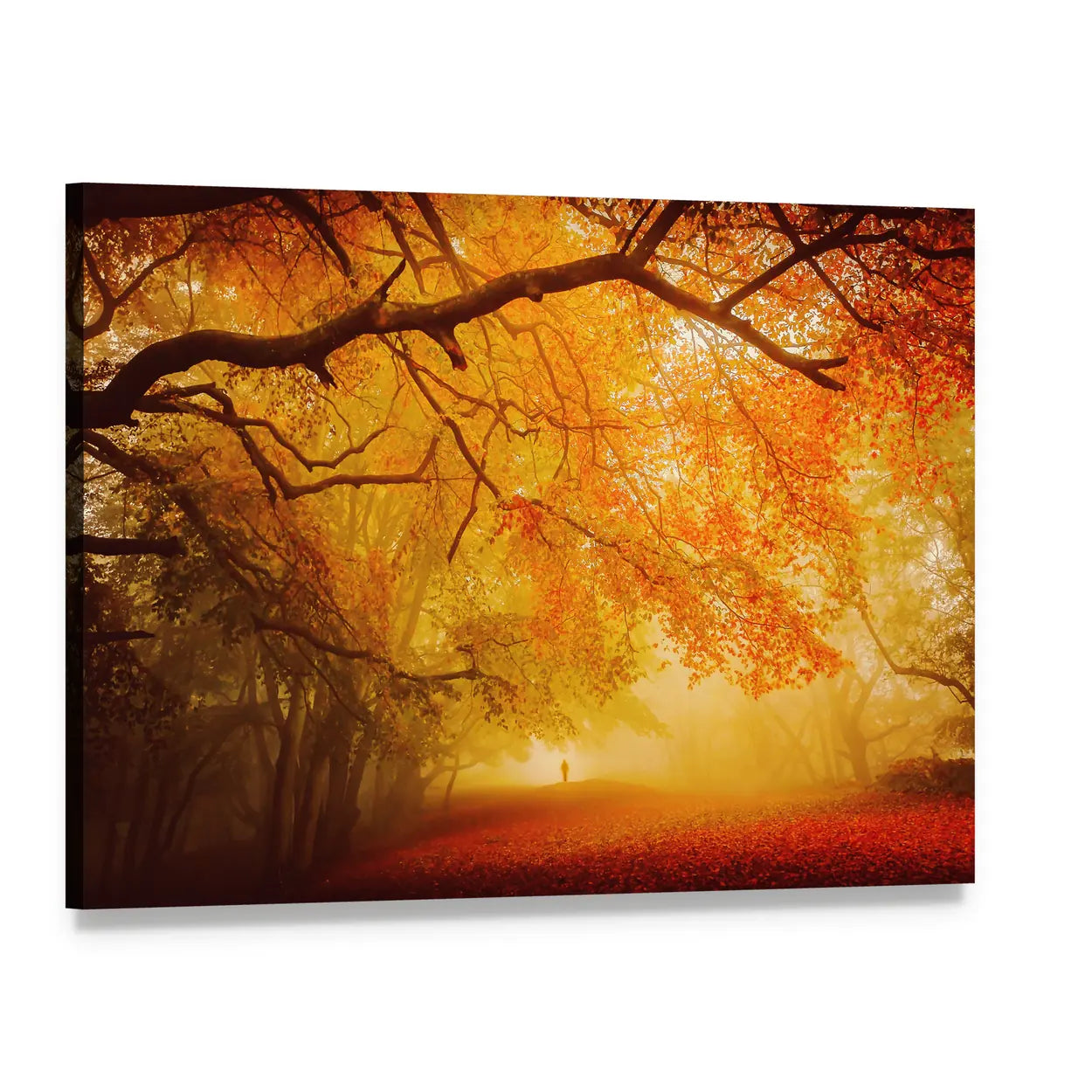 Seasonal Forest Fall Walk Canvas Wall Art, single panel gallery wrapped canvas, angled product view