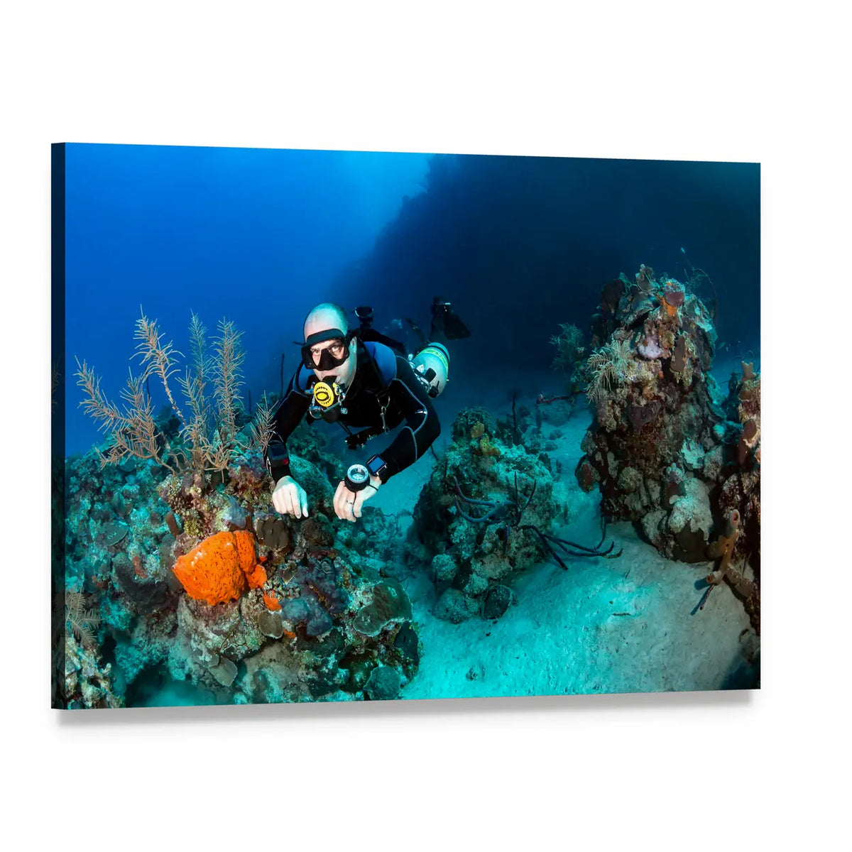 Scuba Diver on Tropical Coral Reef Canvas Wall Art, single panel gallery wrapped canvas, angled product view