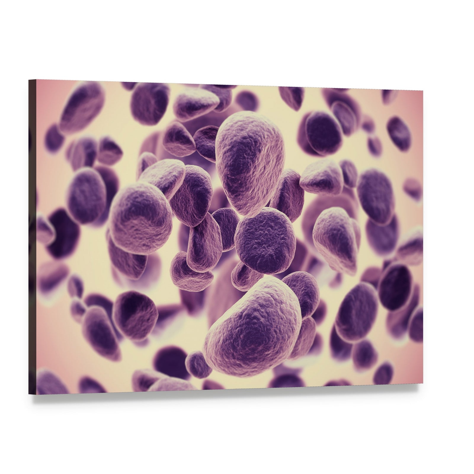 Cancer Cells 3d Close-up Canvas Wall Art, single panel gallery wrapped canvas, angled product view