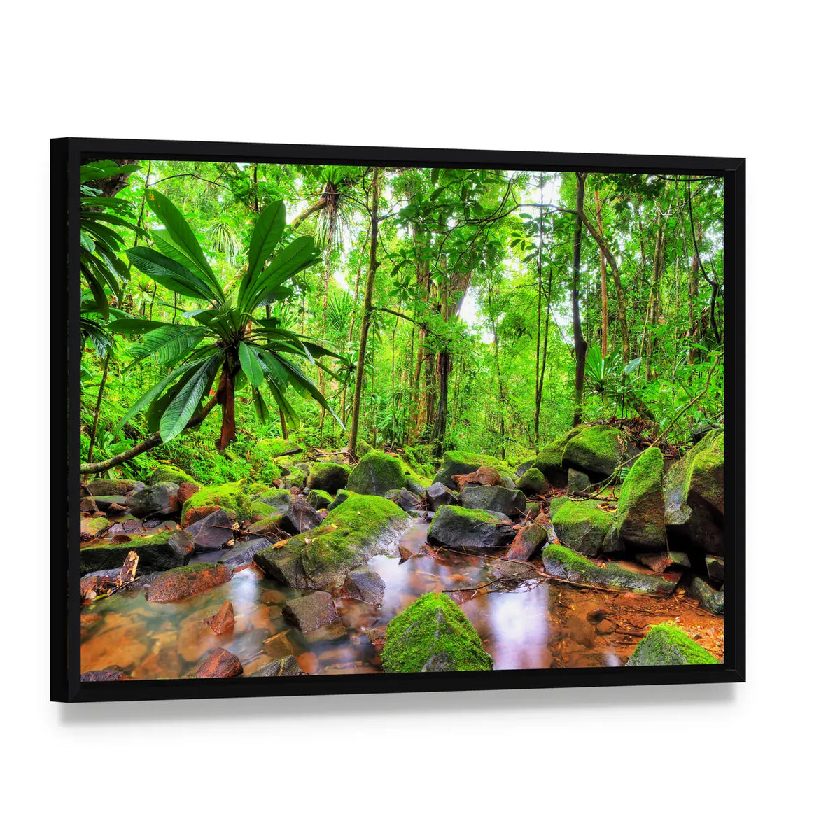 Masoala National Park in Madagascar Canvas Wall Art, framed canvas in a black floater frame, angled product view