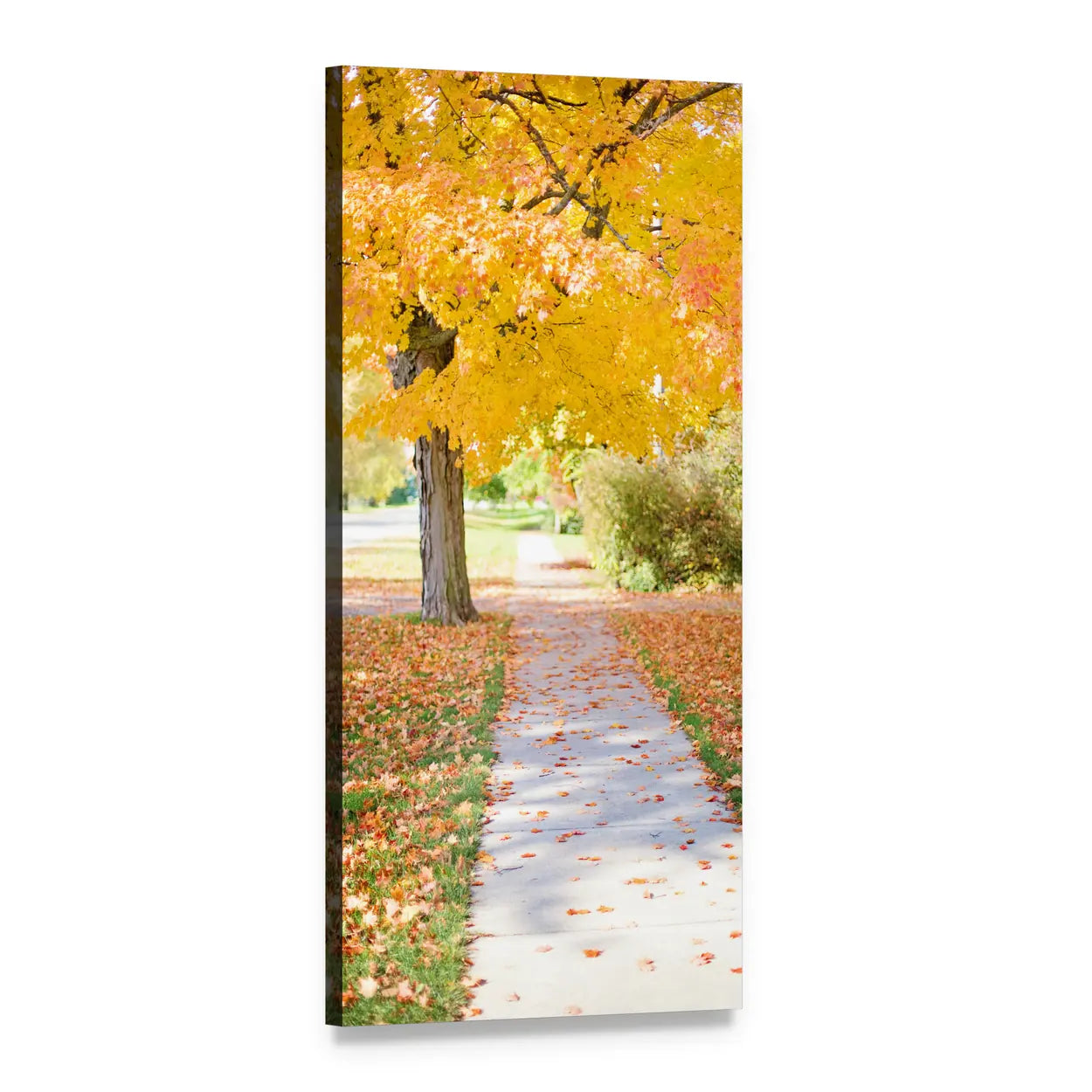 Sunlit Autumn Walkway Vertical Canvas Wall Art, 1 panel 1 Vertical layout gallery wrapped canvas set, angled product view