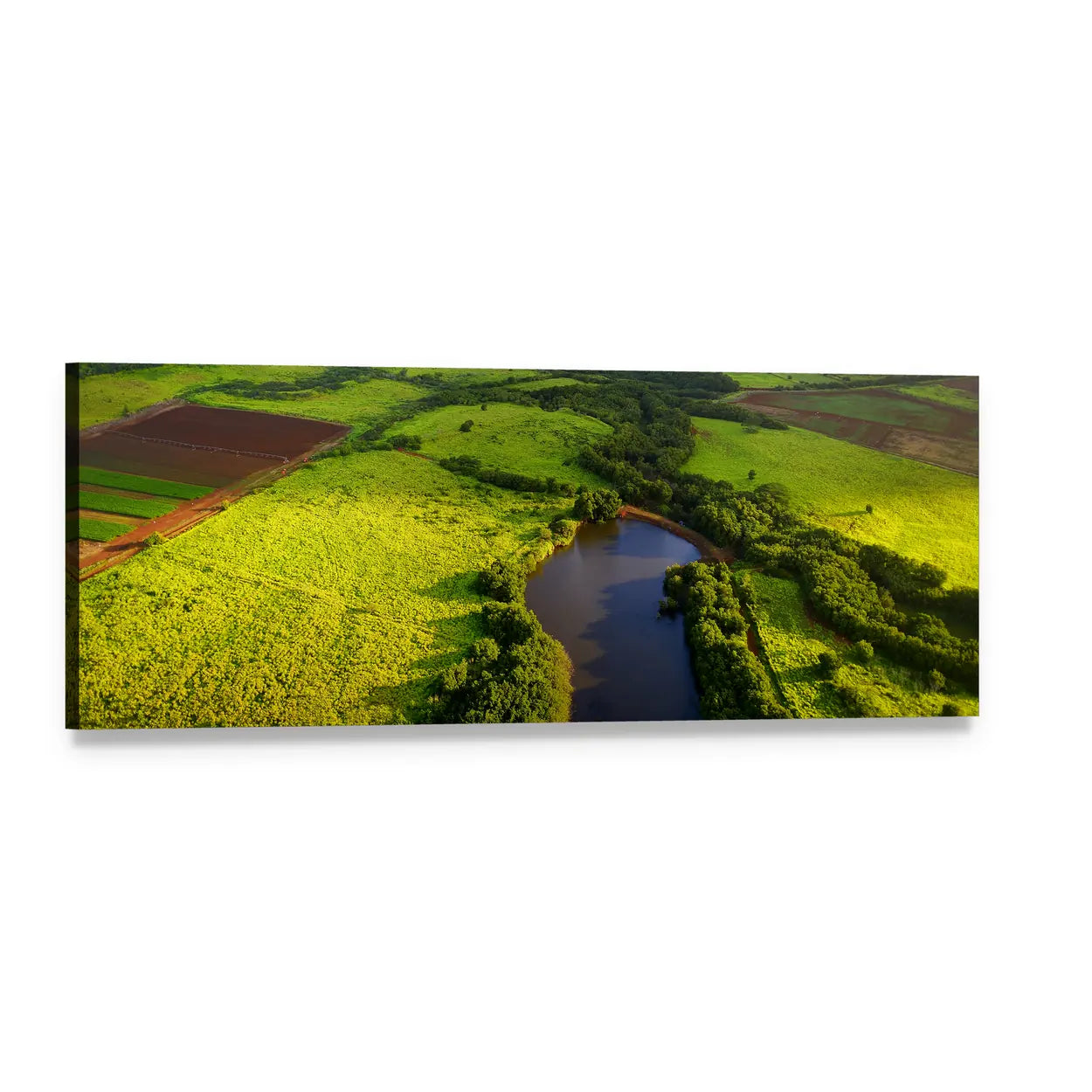 Aerial Jungle Over Winding Lake and Fields Panoramic Canvas Wall Art, single panel gallery wrapped canvas, angled product view